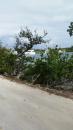 View of Spindrift at Green Turtle Cay